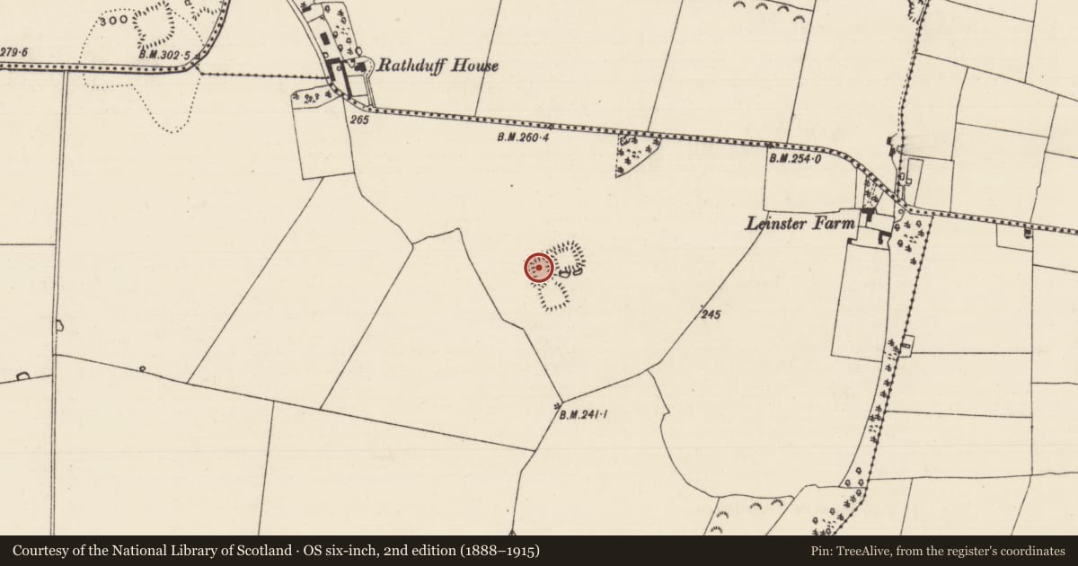 Ordnance Survey six-inch map, 2nd edition (1888–1915) covering the location of Moated site, Thomastown Demesne South, County Tipperary South, with a pin at the register's coordinates