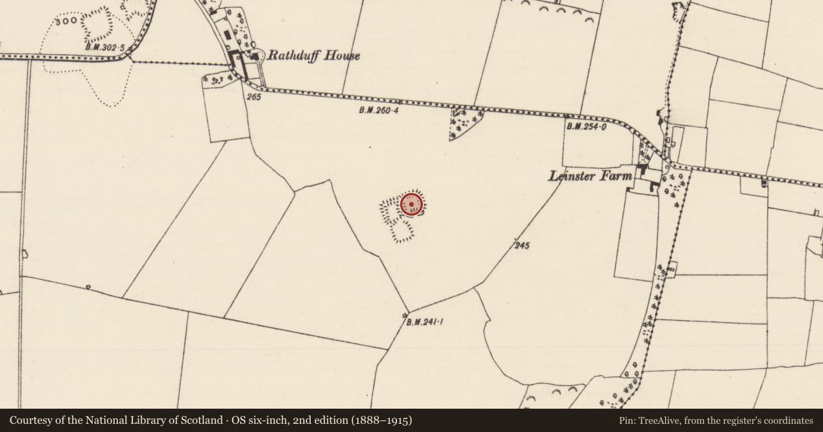 Ordnance Survey six-inch map, 2nd edition (1888–1915) covering the location of Moated site, Thomastown Demesne South, County Tipperary South, with a pin at the register's coordinates