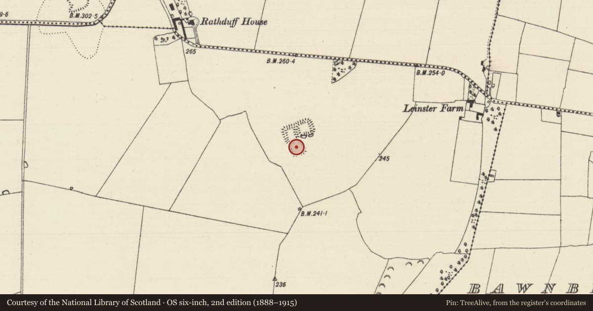 Ordnance Survey six-inch map, 2nd edition (1888–1915) covering the location of Moated site, Thomastown Demesne South, County Tipperary South, with a pin at the register's coordinates