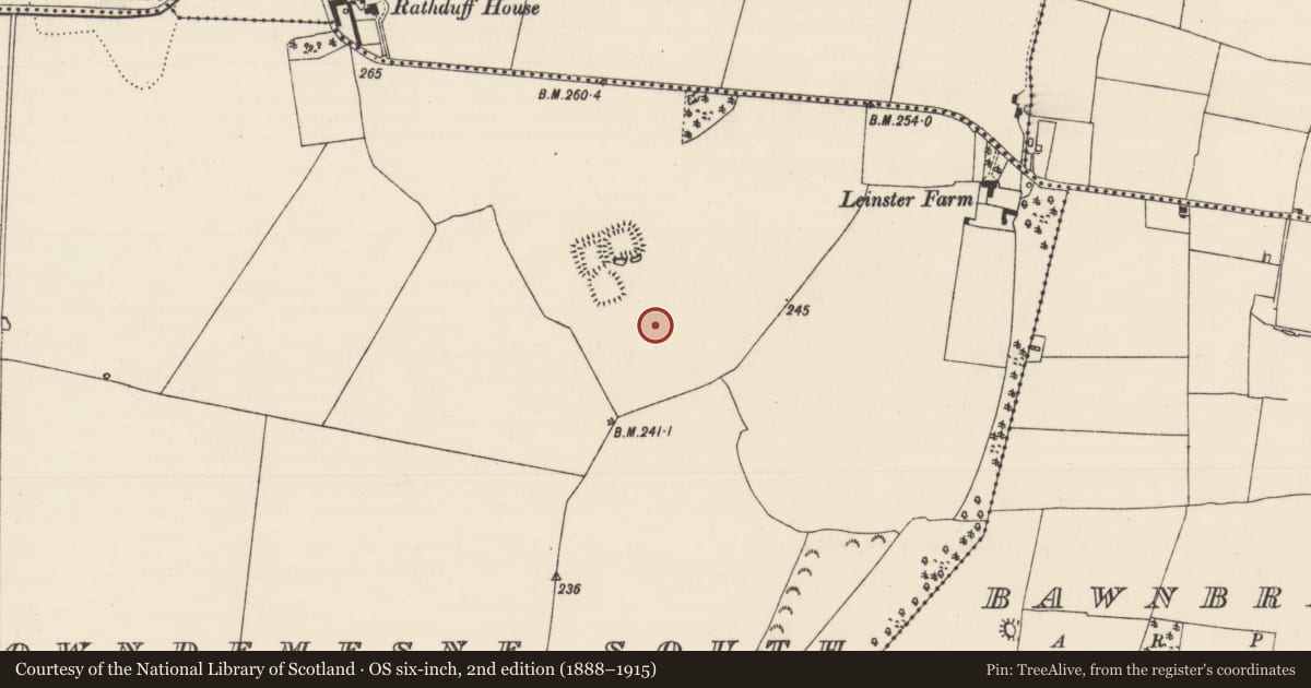 Ordnance Survey six-inch map, 2nd edition (1888–1915) covering the location of Field system, Thomastown Demesne South, County Tipperary South, with a pin at the register's coordinates