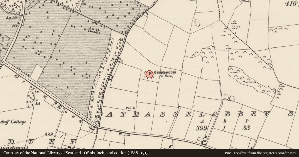 Ordnance Survey six-inch map, 2nd edition (1888–1915) covering the location of Enclosure, Athasselabbey South, County Tipperary South, with a pin at the register's coordinates