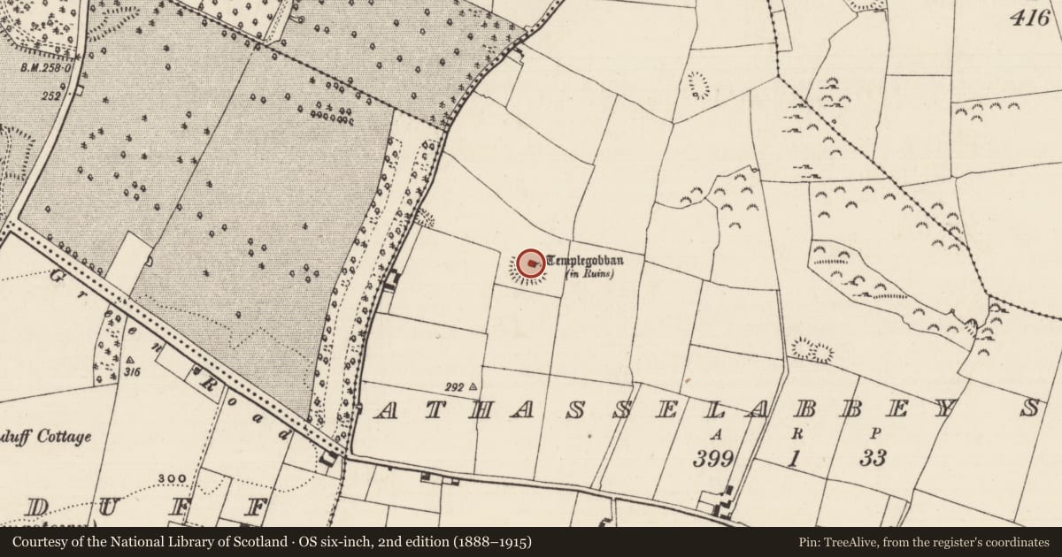 Ordnance Survey six-inch map, 2nd edition (1888–1915) covering the location of Church, Athasselabbey South, County Tipperary South, with a pin at the register's coordinates