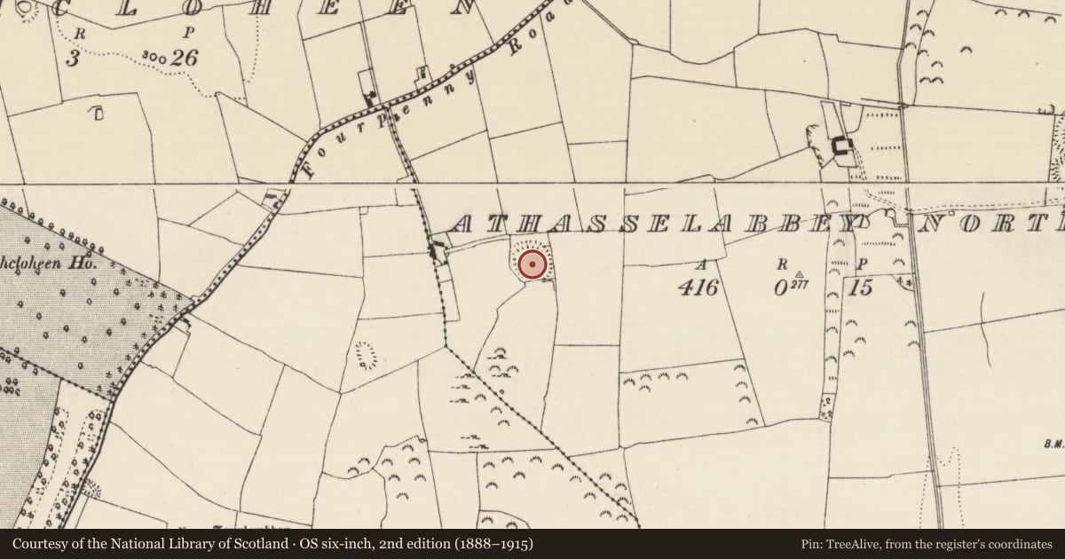 Ordnance Survey six-inch map, 2nd edition (1888–1915) covering the location of Enclosure, Athasselabbey North, County Tipperary South, with a pin at the register's coordinates