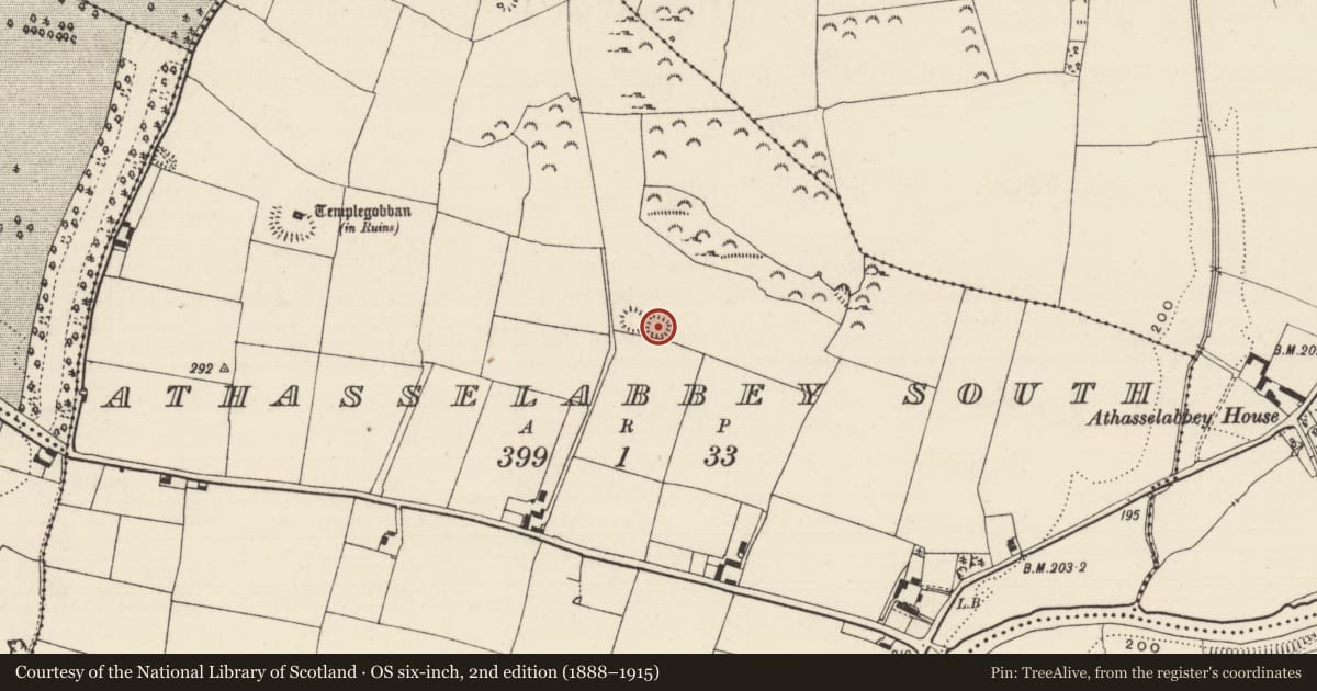 Ordnance Survey six-inch map, 2nd edition (1888–1915) covering the location of Enclosure, Athasselabbey South, County Tipperary South, with a pin at the register's coordinates