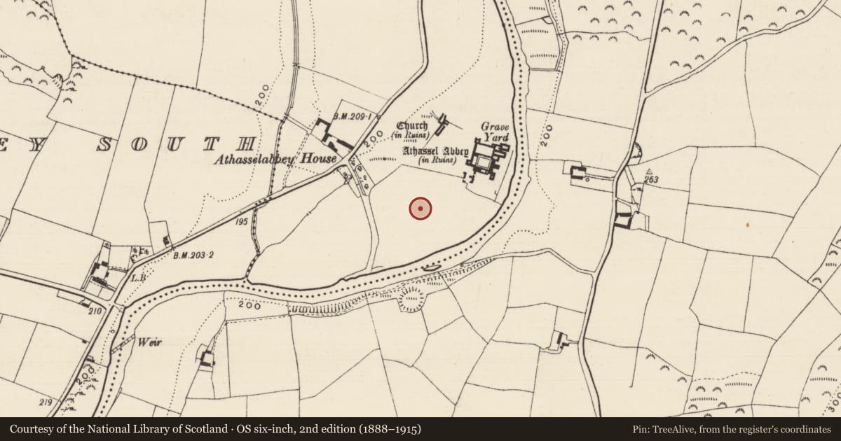 Ordnance Survey six-inch map, 2nd edition (1888–1915) covering the location of Settlement deserted - medieval, Athasselabbey North, County Tipperary South, with a pin at the register's coordinates