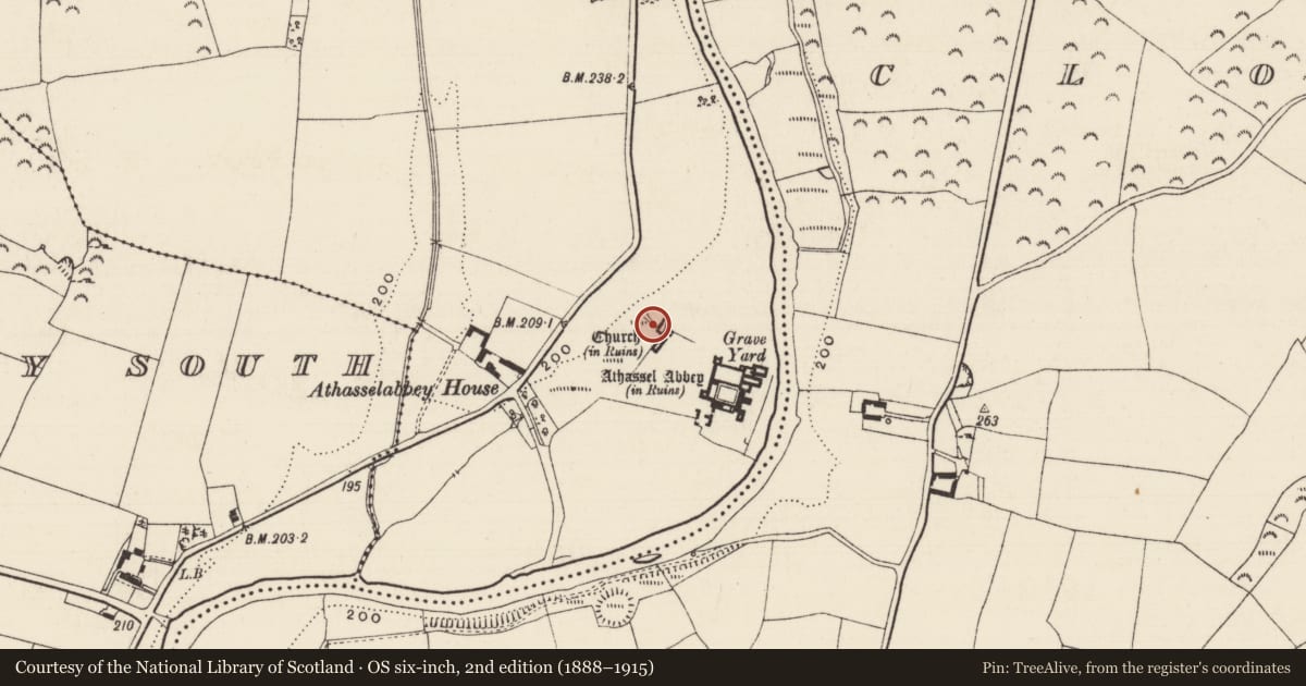 Ordnance Survey six-inch map, 2nd edition (1888–1915) covering the location of Bridge, Athasselabbey North, County Tipperary South, with a pin at the register's coordinates