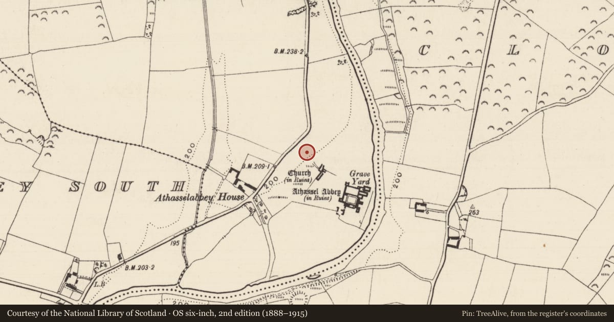 Ordnance Survey six-inch map, 2nd edition (1888–1915) covering the location of Kiln - lime, Athasselabbey North, County Tipperary South, with a pin at the register's coordinates
