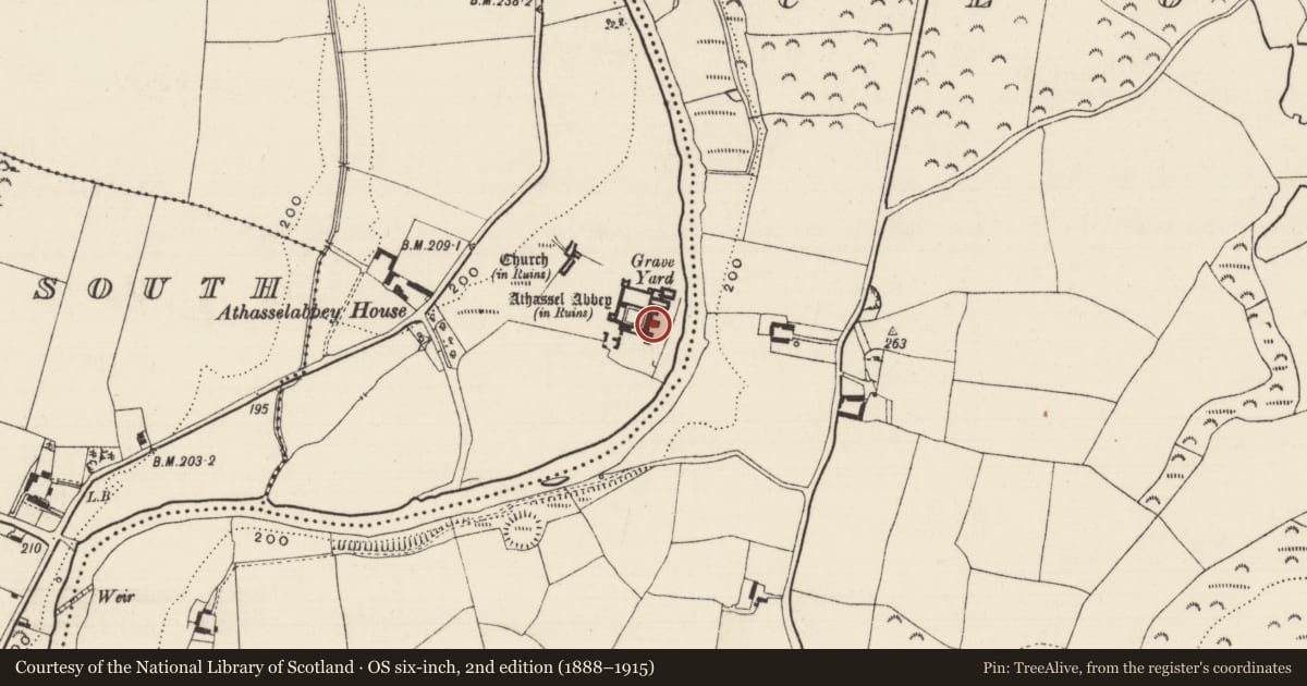 Ordnance Survey six-inch map, 2nd edition (1888–1915) covering the location of Wall monument, Athasselabbey North, County Tipperary South, with a pin at the register's coordinates