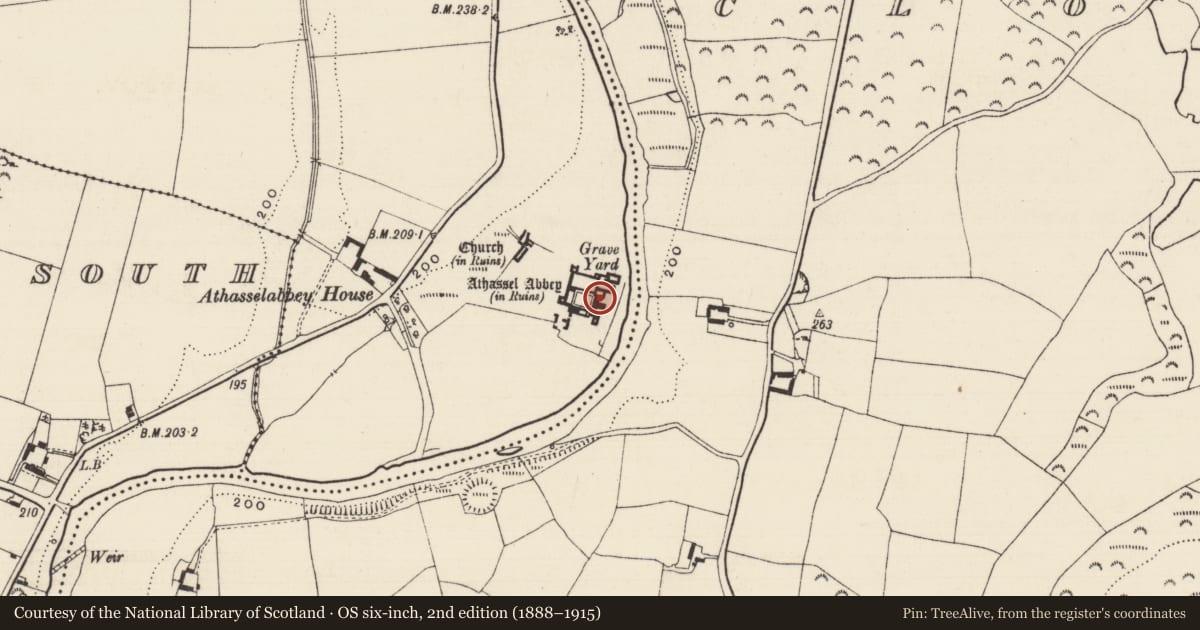 Ordnance Survey six-inch map, 2nd edition (1888–1915) covering the location of Graveslab, Athasselabbey North, County Tipperary South, with a pin at the register's coordinates