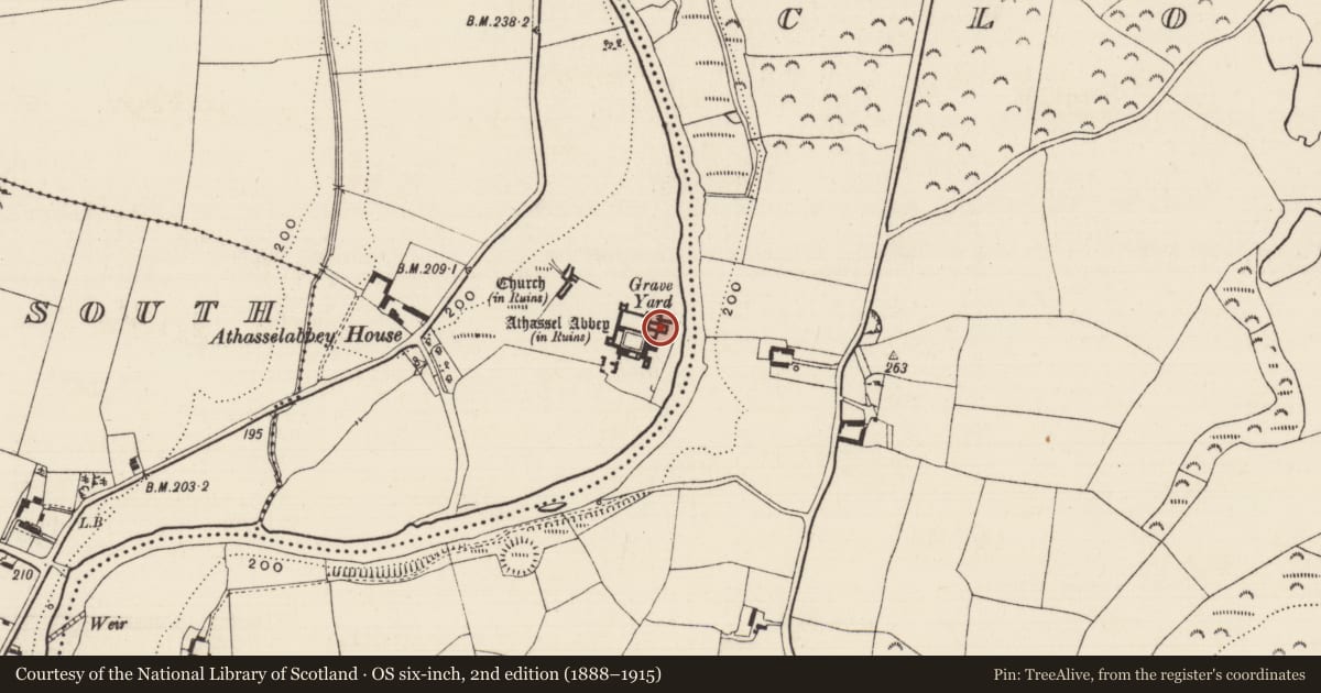 Ordnance Survey six-inch map, 2nd edition (1888–1915) covering the location of Graveslab, Athasselabbey North, County Tipperary South, with a pin at the register's coordinates