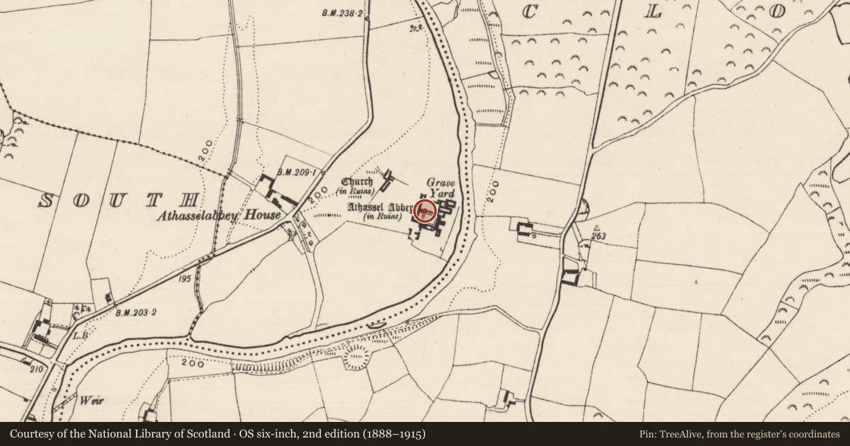 Ordnance Survey six-inch map, 2nd edition (1888–1915) covering the location of Wall monument, Athasselabbey North, County Tipperary South, with a pin at the register's coordinates