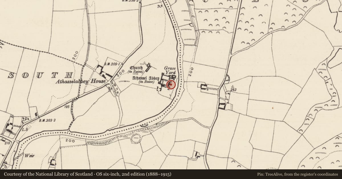 Ordnance Survey six-inch map, 2nd edition (1888–1915) covering the location of Graveslab, Athasselabbey North, County Tipperary South, with a pin at the register's coordinates