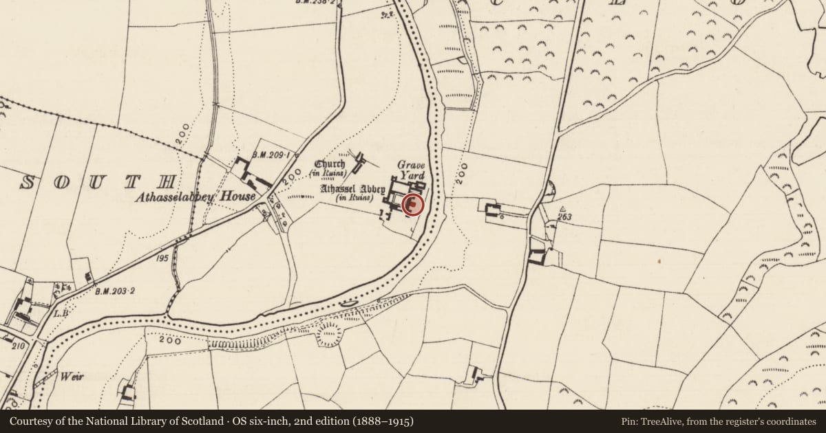 Ordnance Survey six-inch map, 2nd edition (1888–1915) covering the location of Tomb - effigial, Athasselabbey North, County Tipperary South, with a pin at the register's coordinates