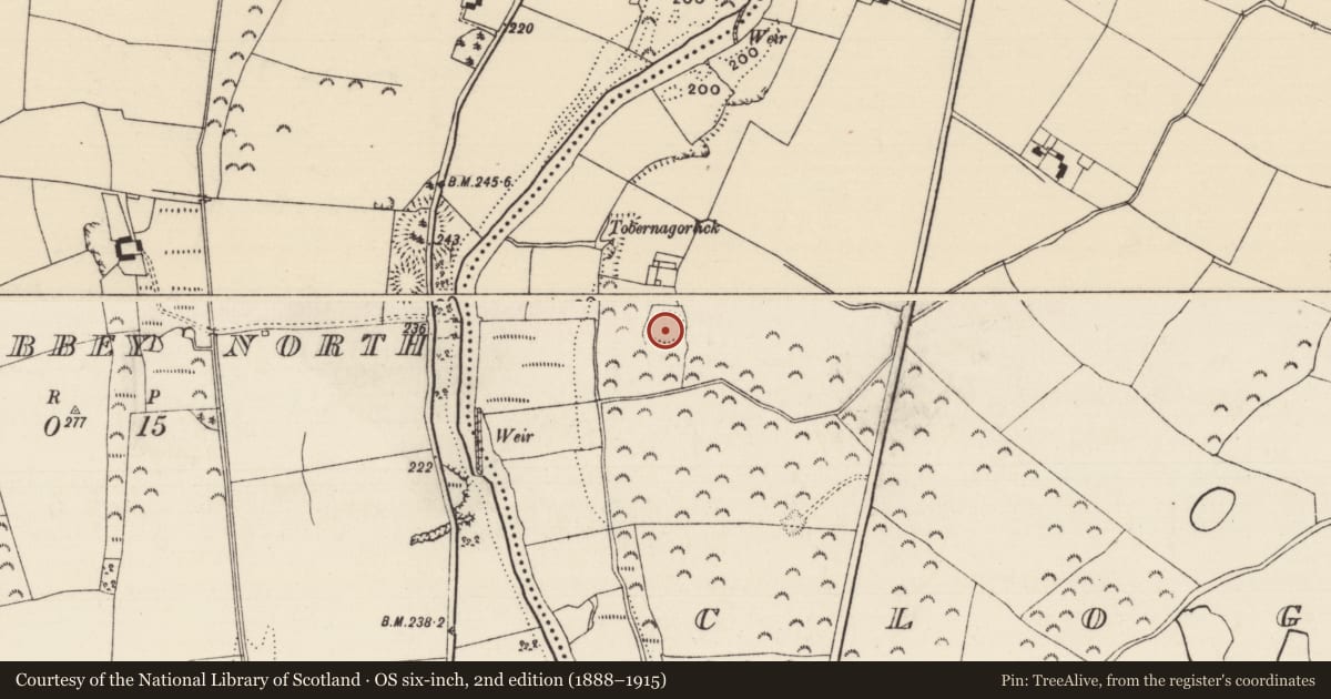 Ordnance Survey six-inch map, 2nd edition (1888–1915) covering the location of Enclosure, Cloghleigh (Relickmurray & Athassel Par.), County Tipperary South, with a pin at the register's coordinates