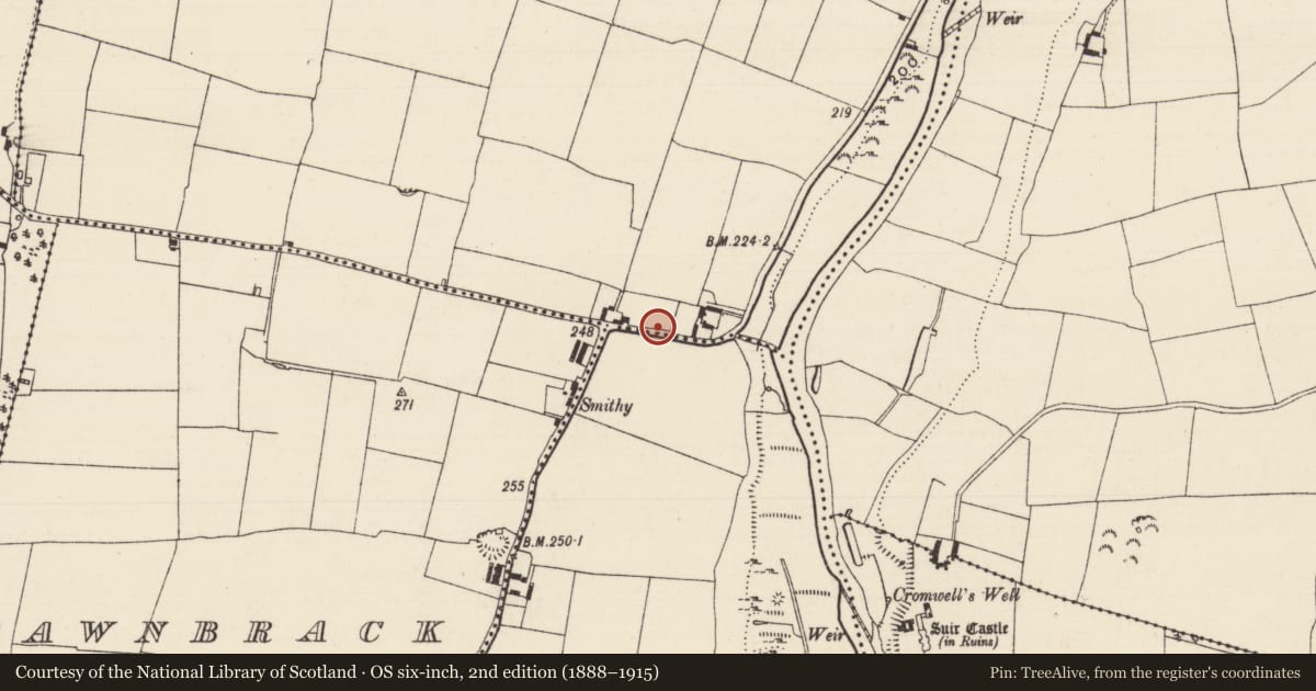 Ordnance Survey six-inch map, 2nd edition (1888–1915) covering the location of Burial, Athasselabbey South, County Tipperary South, with a pin at the register's coordinates