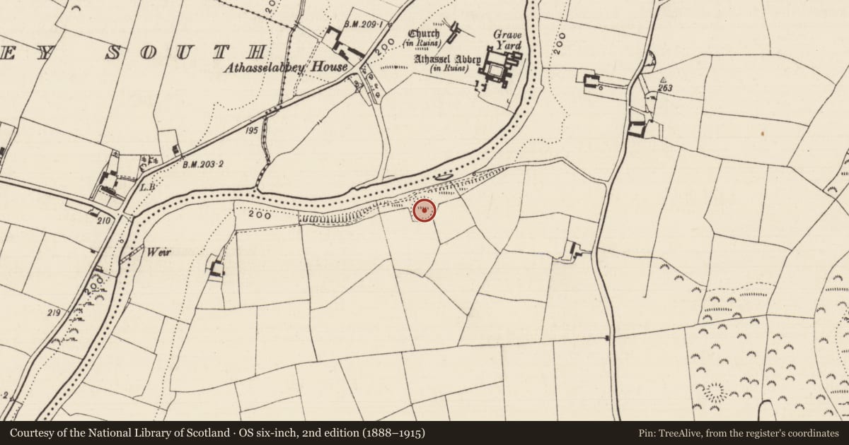 Ordnance Survey six-inch map, 2nd edition (1888–1915) covering the location of Castle - motte, Cloghleigh (Relickmurray & Athassel Par.), County Tipperary South, with a pin at the register's coordinates