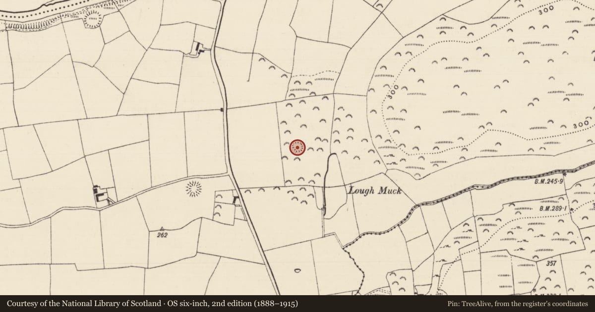 Ordnance Survey six-inch map, 2nd edition (1888–1915) covering the location of Ringfort - rath, Cloghleigh (Relickmurray & Athassel Par.), County Tipperary South, with a pin at the register's coordinates