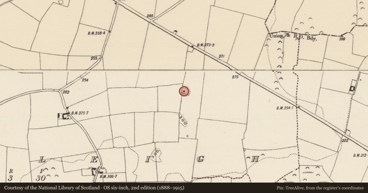 Ordnance Survey six-inch map, 2nd edition (1888–1915) covering the location of Enclosure, Cloghleigh (Relickmurray & Athassel Par.), County Tipperary South, with a pin at the register's coordinates
