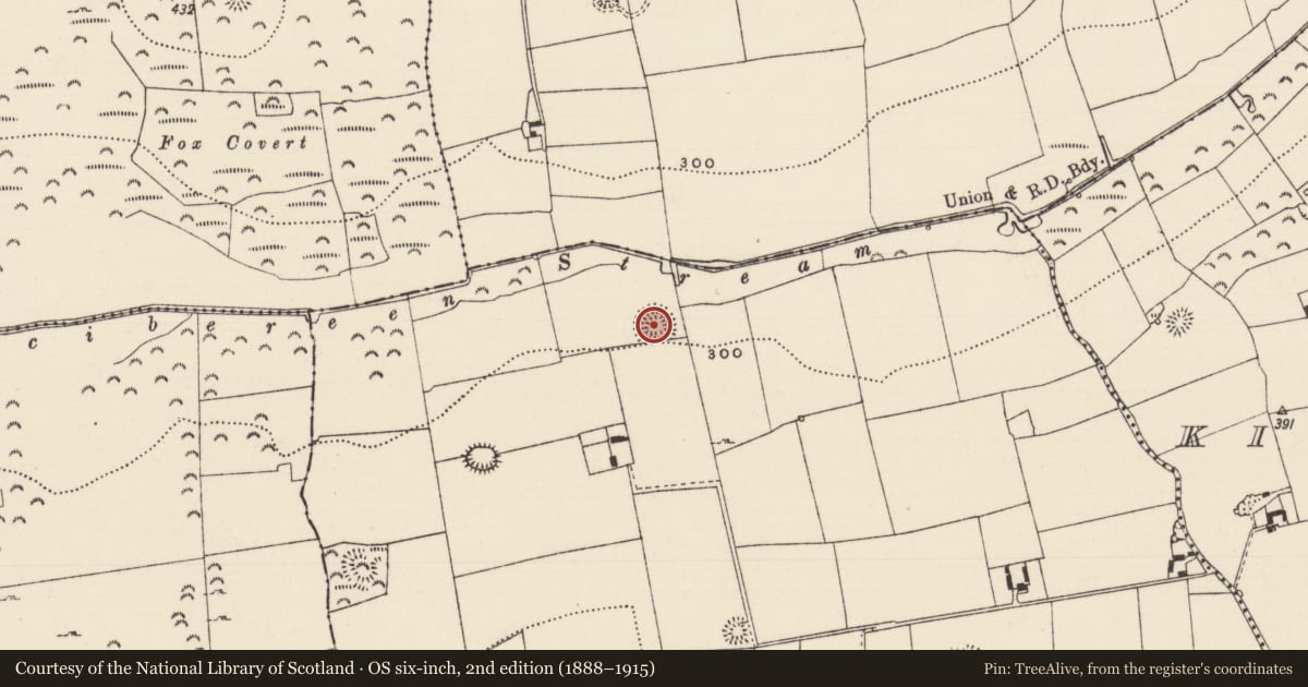 Ordnance Survey six-inch map, 2nd edition (1888–1915) covering the location of Ringfort - rath, Boytonrath, County Tipperary South, with a pin at the register's coordinates
