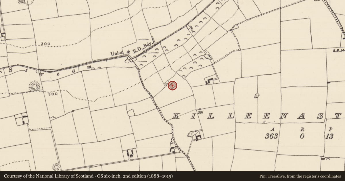 Ordnance Survey six-inch map, 2nd edition (1888–1915) covering the location of Enclosure, Killeenasteena, County Tipperary South, with a pin at the register's coordinates