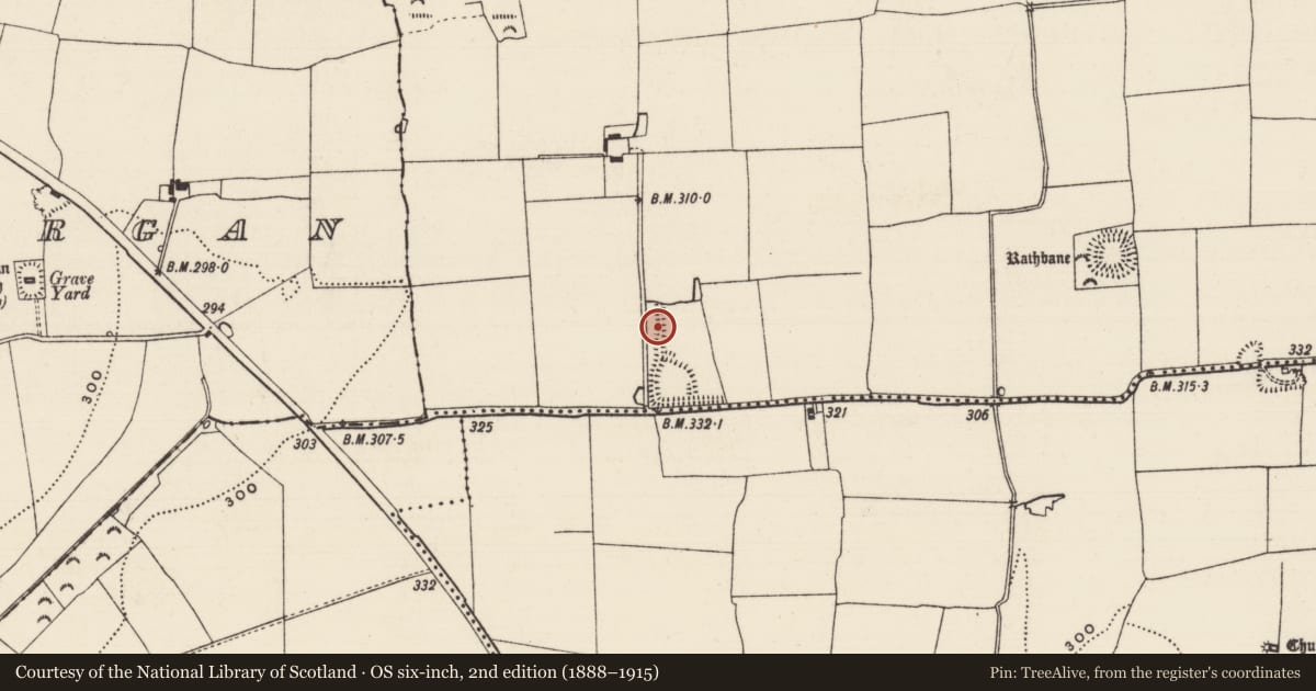 Ordnance Survey six-inch map, 2nd edition (1888–1915) covering the location of Linear earthwork, Shanballyduff (Dangandargan Par.), County Tipperary South, with a pin at the register's coordinates