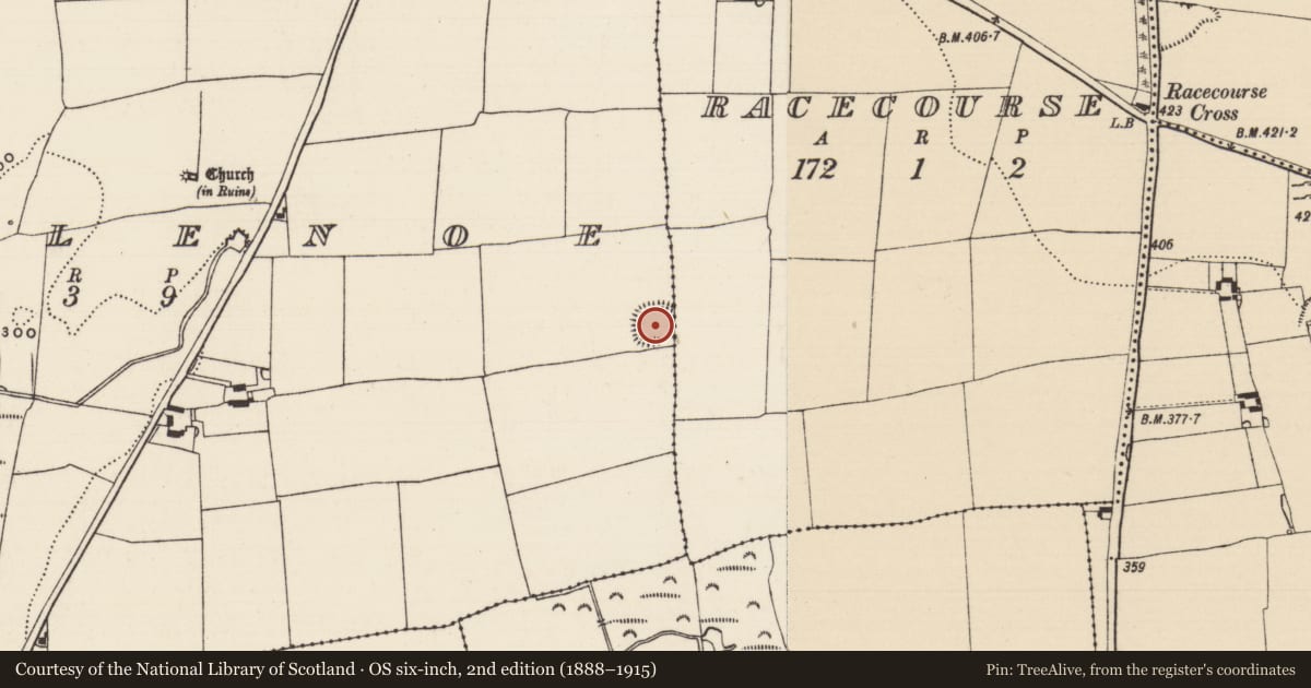Ordnance Survey six-inch map, 2nd edition (1888–1915) covering the location of Ringfort - rath, Racecourse (St. John Baptist Par.), Templenoe (Killeenasteena Par.), County Tipperary South, with a pin at the register's coordinates