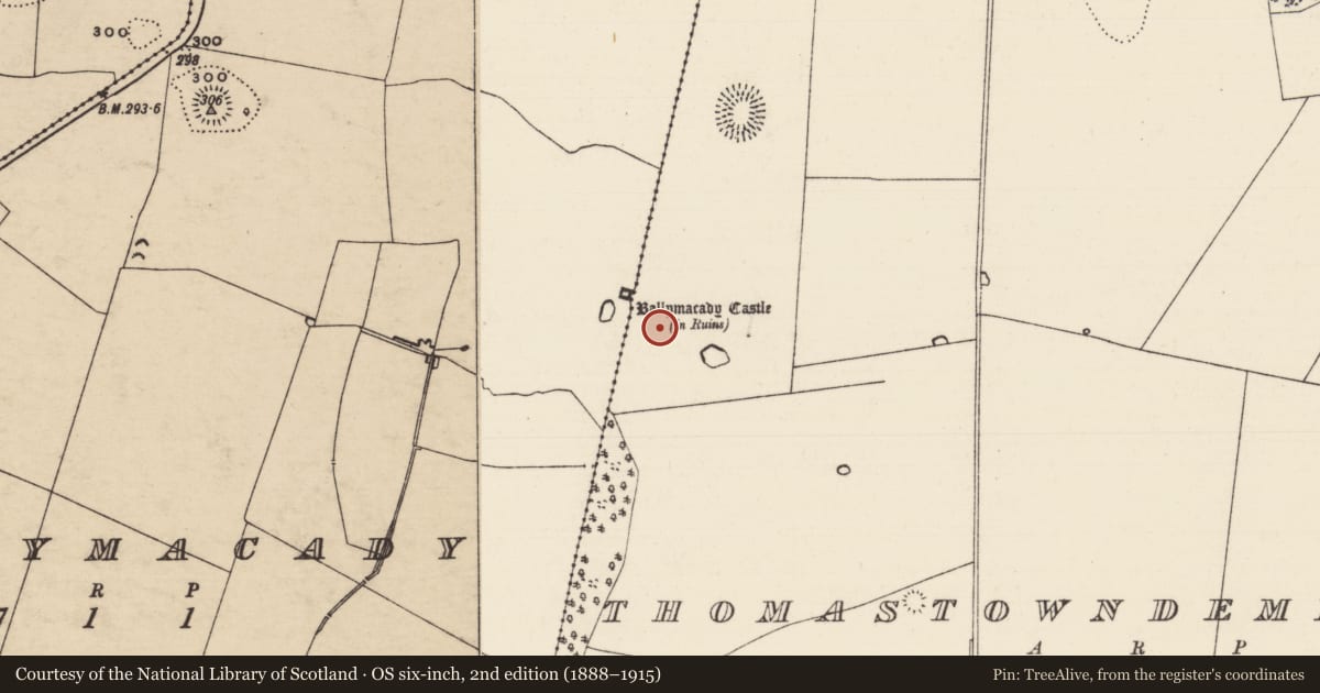 Ordnance Survey six-inch map, 2nd edition (1888–1915) covering the location of Enclosure, Thomastown Demesne South, County Tipperary South, with a pin at the register's coordinates