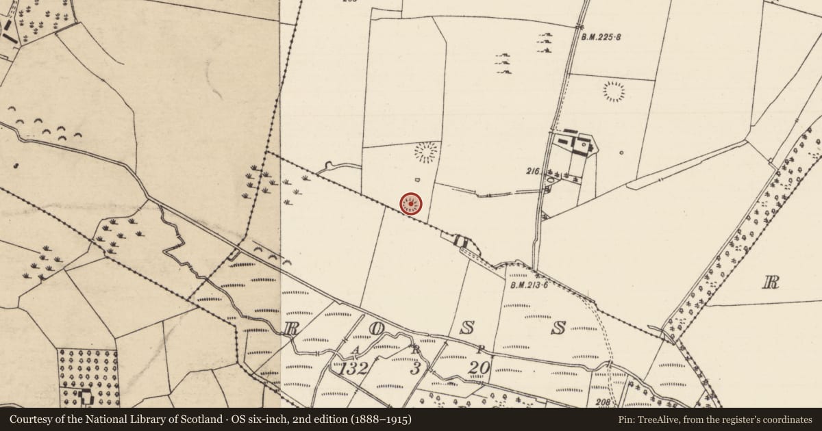 Ordnance Survey six-inch map, 2nd edition (1888–1915) covering the location of Enclosure, Thomastown Demesne South, County Tipperary South, with a pin at the register's coordinates