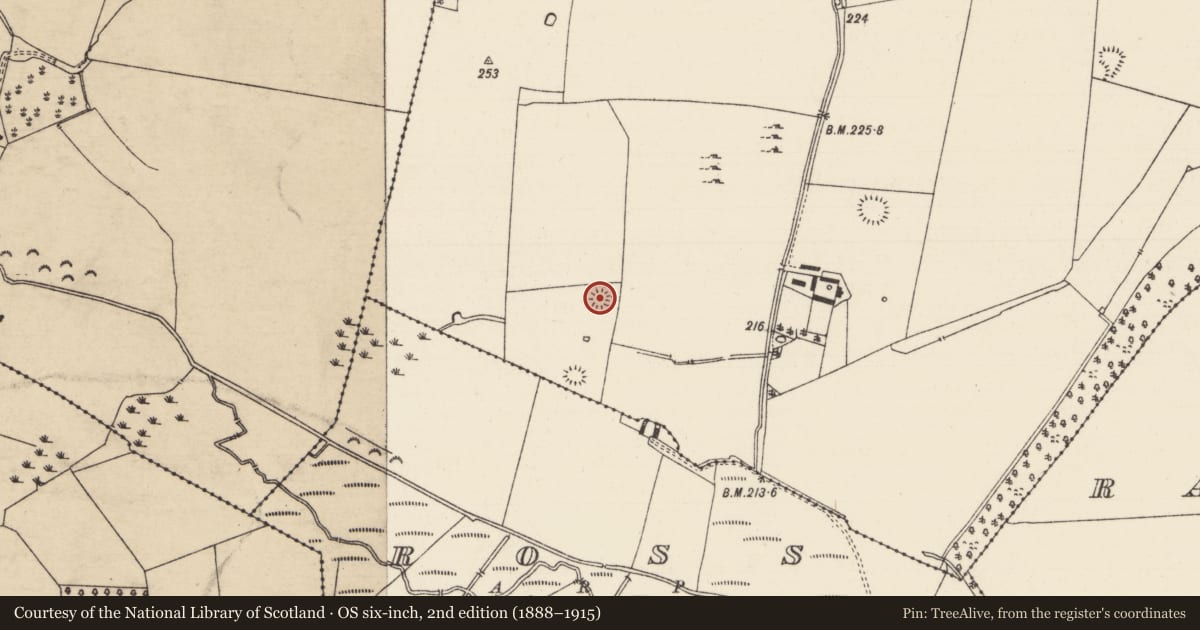 Ordnance Survey six-inch map, 2nd edition (1888–1915) covering the location of Barrow - ring-barrow, Thomastown Demesne South, County Tipperary South, with a pin at the register's coordinates