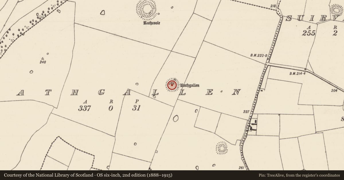 Ordnance Survey six-inch map, 2nd edition (1888–1915) covering the location of Ringfort - rath, Rathgallen, County Tipperary South, with a pin at the register's coordinates