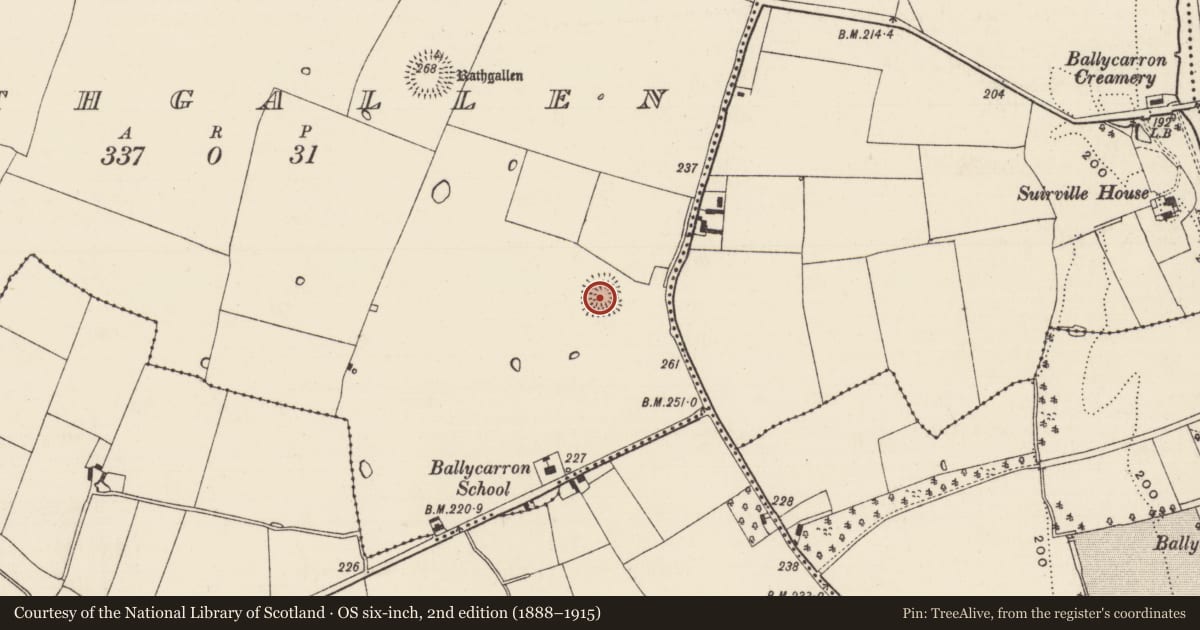 Ordnance Survey six-inch map, 2nd edition (1888–1915) covering the location of Ringfort - rath, Rathgallen, County Tipperary South, with a pin at the register's coordinates