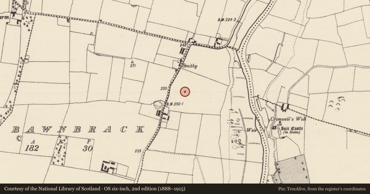 Ordnance Survey six-inch map, 2nd edition (1888–1915) covering the location of Ringfort - rath, Suirville, County Tipperary South, with a pin at the register's coordinates