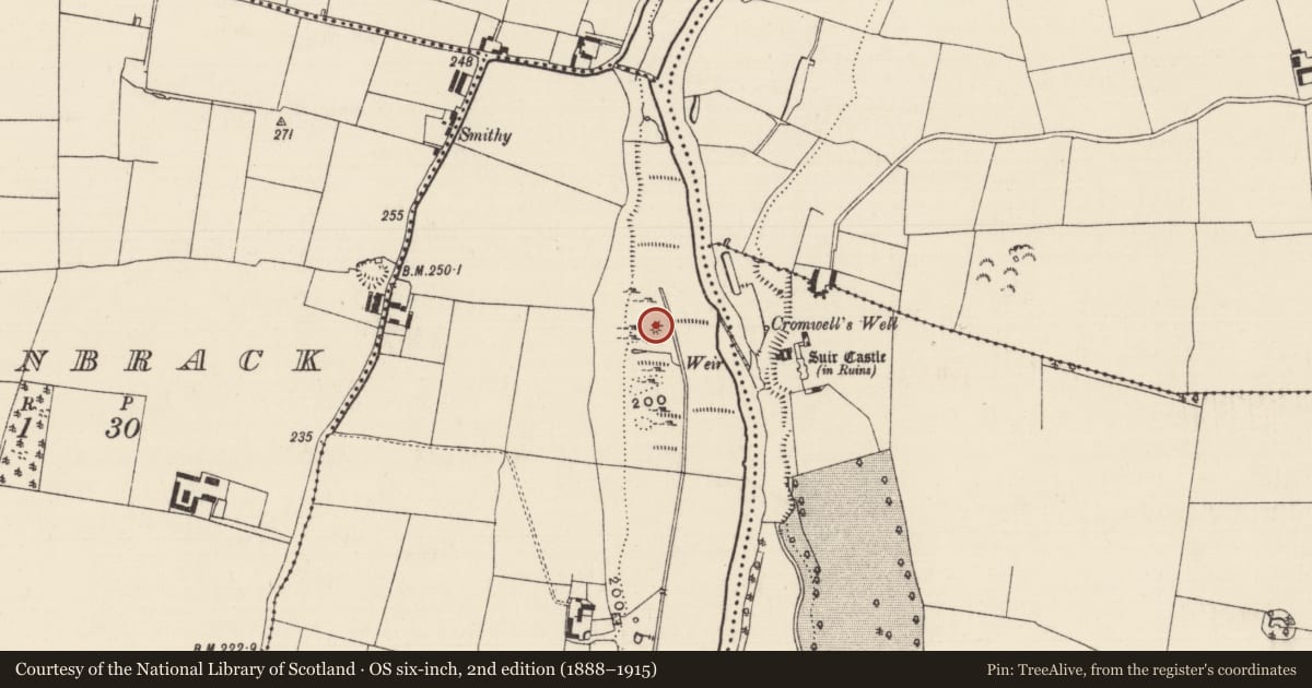 Ordnance Survey six-inch map, 2nd edition (1888–1915) covering the location of Mound, Suirville, County Tipperary South, with a pin at the register's coordinates