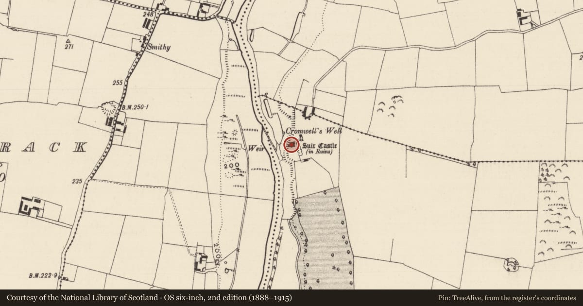 Ordnance Survey six-inch map, 2nd edition (1888–1915) covering the location of Castle - tower house, Ballyvada, County Tipperary South, with a pin at the register's coordinates