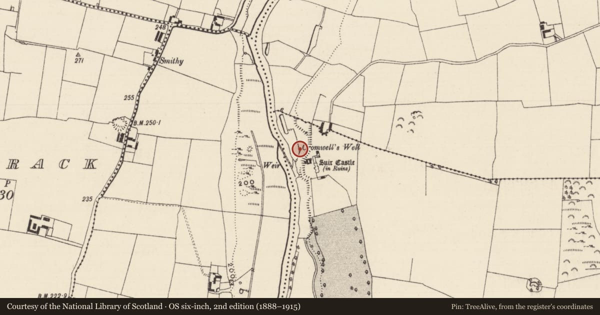 Ordnance Survey six-inch map, 2nd edition (1888–1915) covering the location of Well, Ballyvada, County Tipperary South, with a pin at the register's coordinates