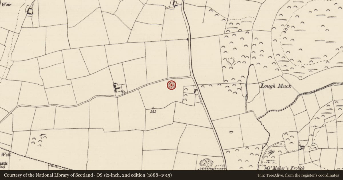 Ordnance Survey six-inch map, 2nd edition (1888–1915) covering the location of Enclosure, Cloghleigh (Relickmurray & Athassel Par.), County Tipperary South, with a pin at the register's coordinates