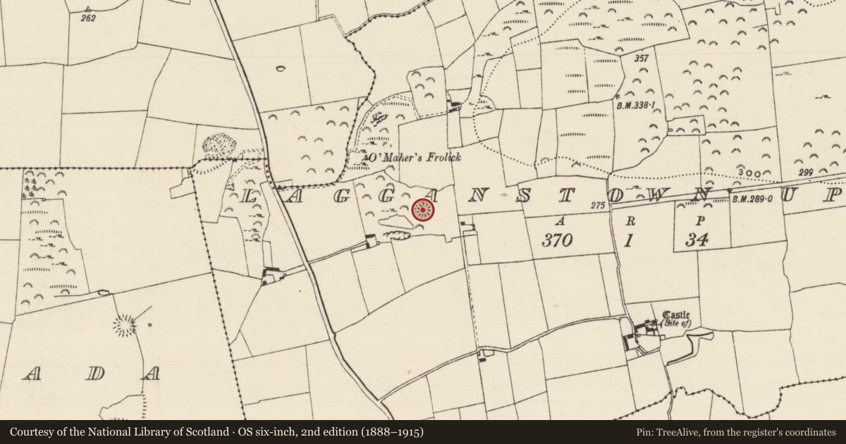 Ordnance Survey six-inch map, 2nd edition (1888–1915) covering the location of Enclosure, Lagganstown Upper, County Tipperary South, with a pin at the register's coordinates