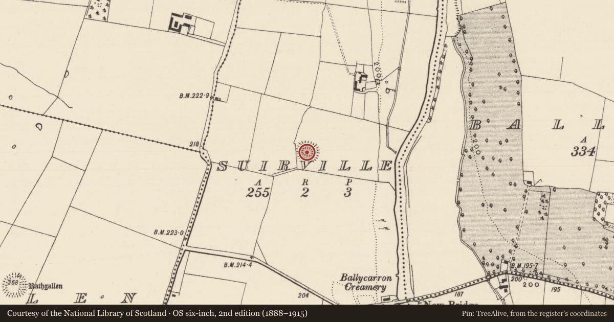 Ordnance Survey six-inch map, 2nd edition (1888–1915) covering the location of Enclosure, Suirville, County Tipperary South, with a pin at the register's coordinates