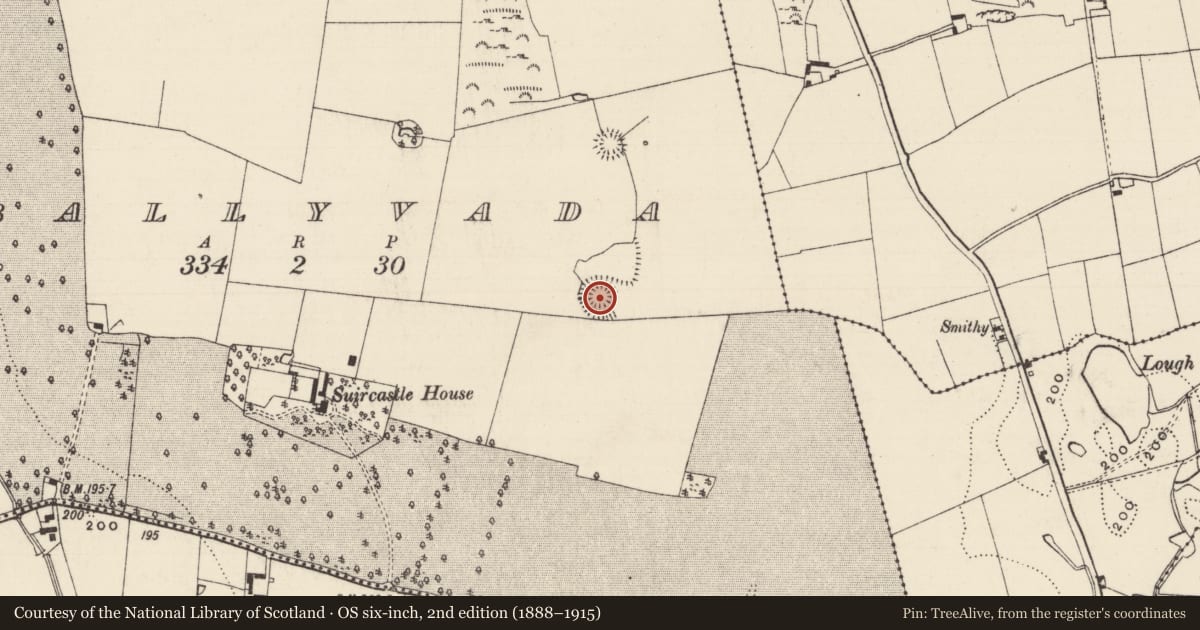 Ordnance Survey six-inch map, 2nd edition (1888–1915) covering the location of Enclosure, Ballyvada, County Tipperary South, with a pin at the register's coordinates