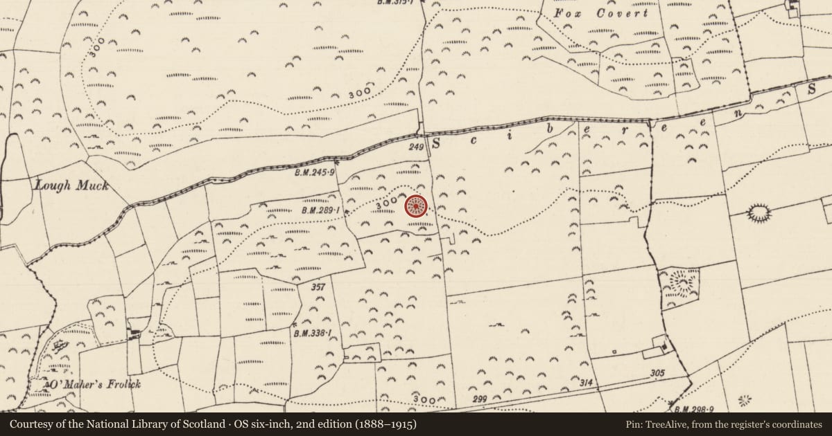 Ordnance Survey six-inch map, 2nd edition (1888–1915) covering the location of Enclosure, Lagganstown Upper, County Tipperary South, with a pin at the register's coordinates