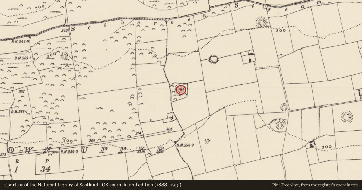 Ordnance Survey six-inch map, 2nd edition (1888–1915) covering the location of Enclosure, Boytonrath, County Tipperary South, with a pin at the register's coordinates
