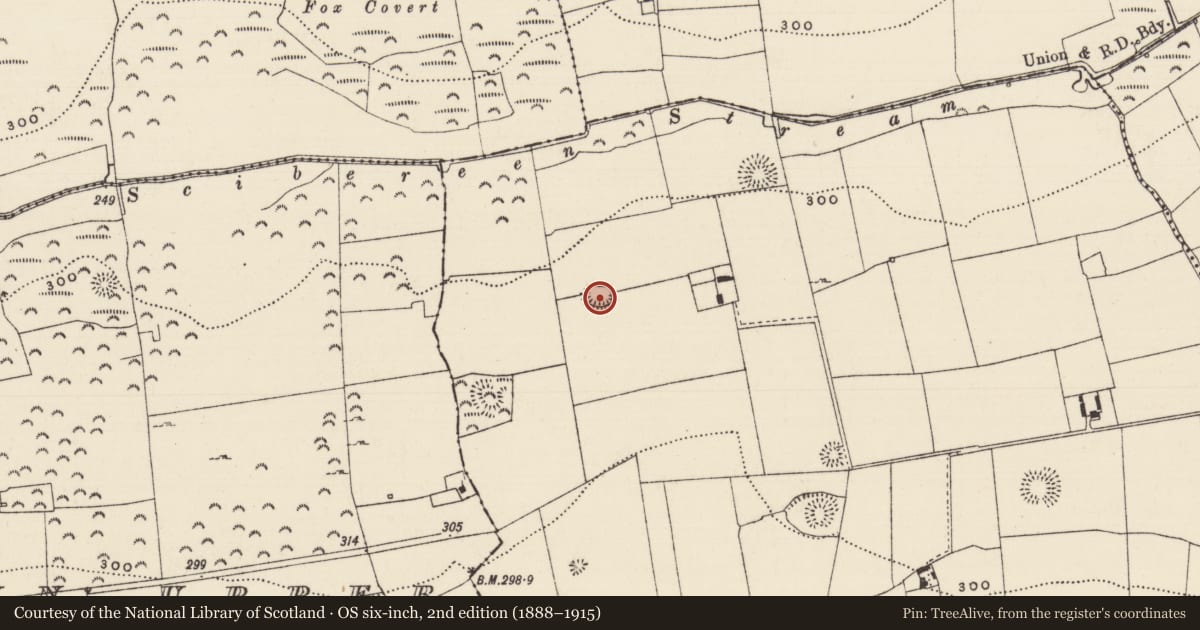 Ordnance Survey six-inch map, 2nd edition (1888–1915) covering the location of Enclosure, Boytonrath, County Tipperary South, with a pin at the register's coordinates