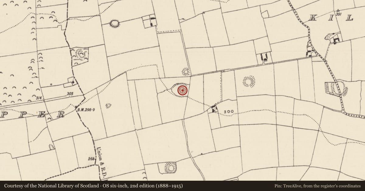 Ordnance Survey six-inch map, 2nd edition (1888–1915) covering the location of Ringfort - rath, Boytonrath, County Tipperary South, with a pin at the register's coordinates