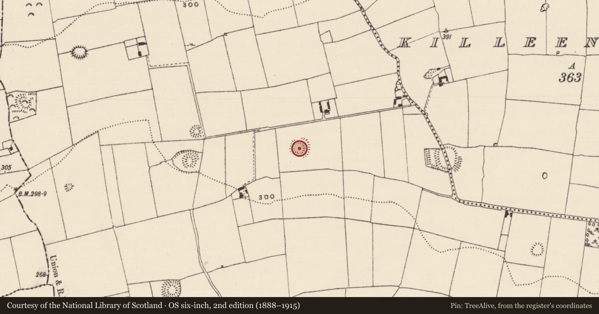 Ordnance Survey six-inch map, 2nd edition (1888–1915) covering the location of Ringfort - rath, Boytonrath, County Tipperary South, with a pin at the register's coordinates