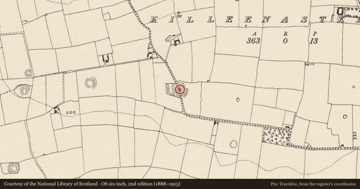 Ordnance Survey six-inch map, 2nd edition (1888–1915) covering the location of Ringfort - rath, Boytonrath, Killeenasteena, County Tipperary South, with a pin at the register's coordinates