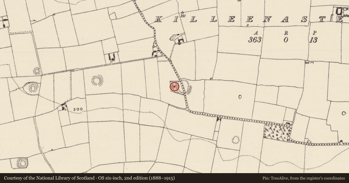 Ordnance Survey six-inch map, 2nd edition (1888–1915) covering the location of Enclosure, Boytonrath, County Tipperary South, with a pin at the register's coordinates