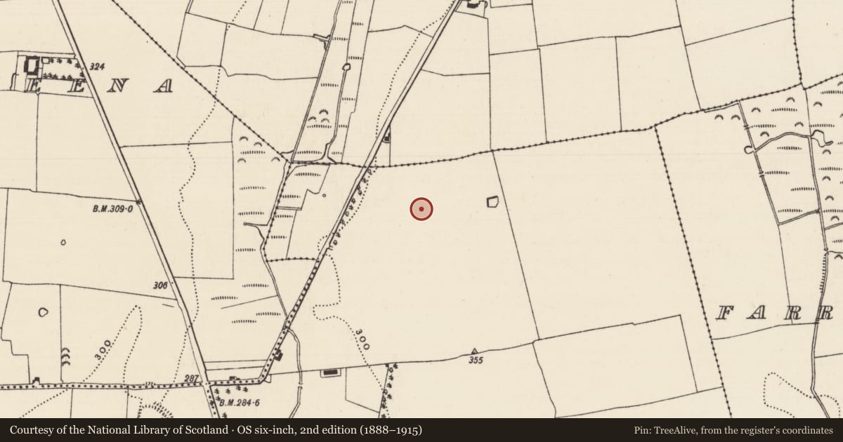 Ordnance Survey six-inch map, 2nd edition (1888–1915) covering the location of Earthwork, Dogstown (Dogstown Par.), County Tipperary South, with a pin at the register's coordinates