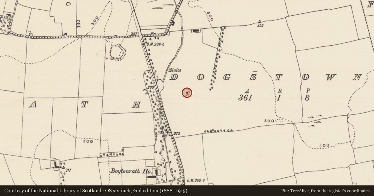 Ordnance Survey six-inch map, 2nd edition (1888–1915) covering the location of Enclosure, Dogstown (Dogstown Par.), County Tipperary South, with a pin at the register's coordinates