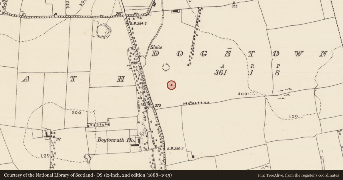 Ordnance Survey six-inch map, 2nd edition (1888–1915) covering the location of Earthwork, Dogstown (Dogstown Par.), County Tipperary South, with a pin at the register's coordinates