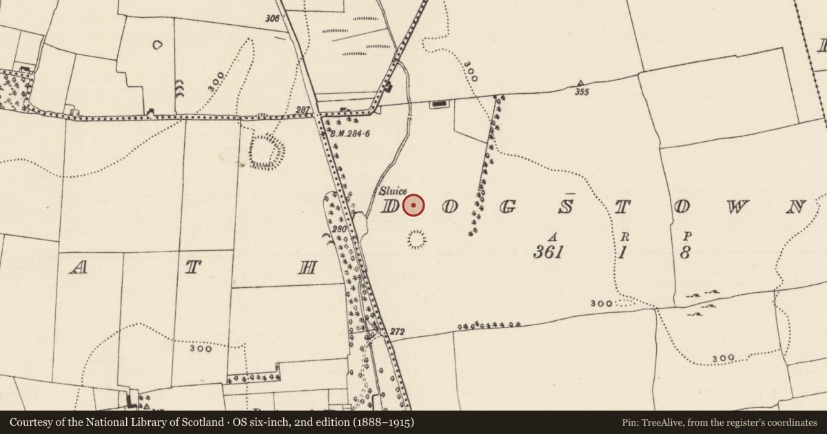 Ordnance Survey six-inch map, 2nd edition (1888–1915) covering the location of Enclosure, Dogstown (Dogstown Par.), County Tipperary South, with a pin at the register's coordinates